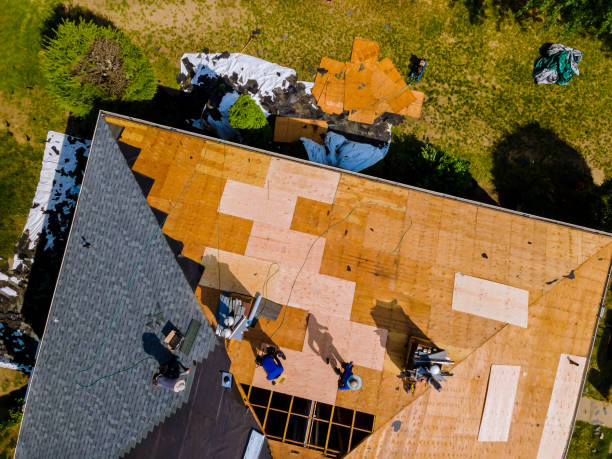 Best Metal Roofing Contractor  in Trappe, MD