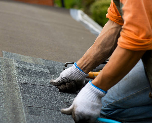 Best Shingle Roofing Installation  in Trappe, MD
