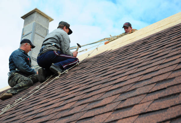 Quick and Trustworthy Emergency Roof Repair Services in Trappe, MD