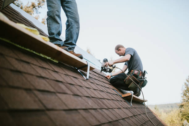 Quick and Trustworthy Emergency Roof Repair Services in Trappe, MD